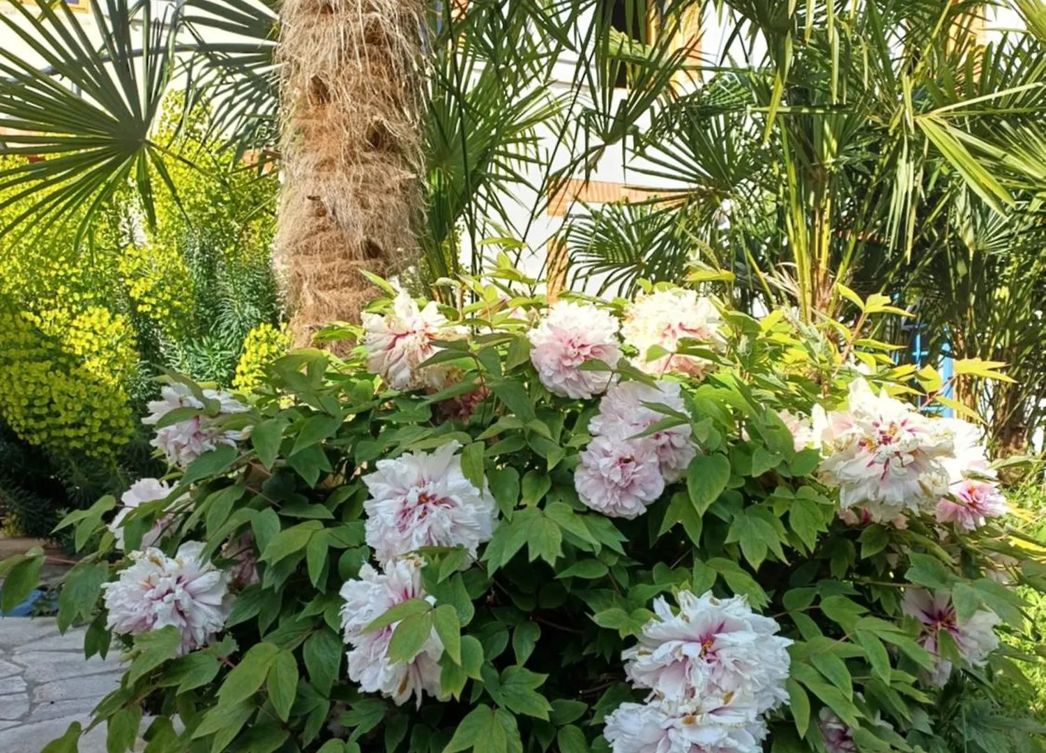 Hotel Le Relais De Lezat Lezat-sur-Leze